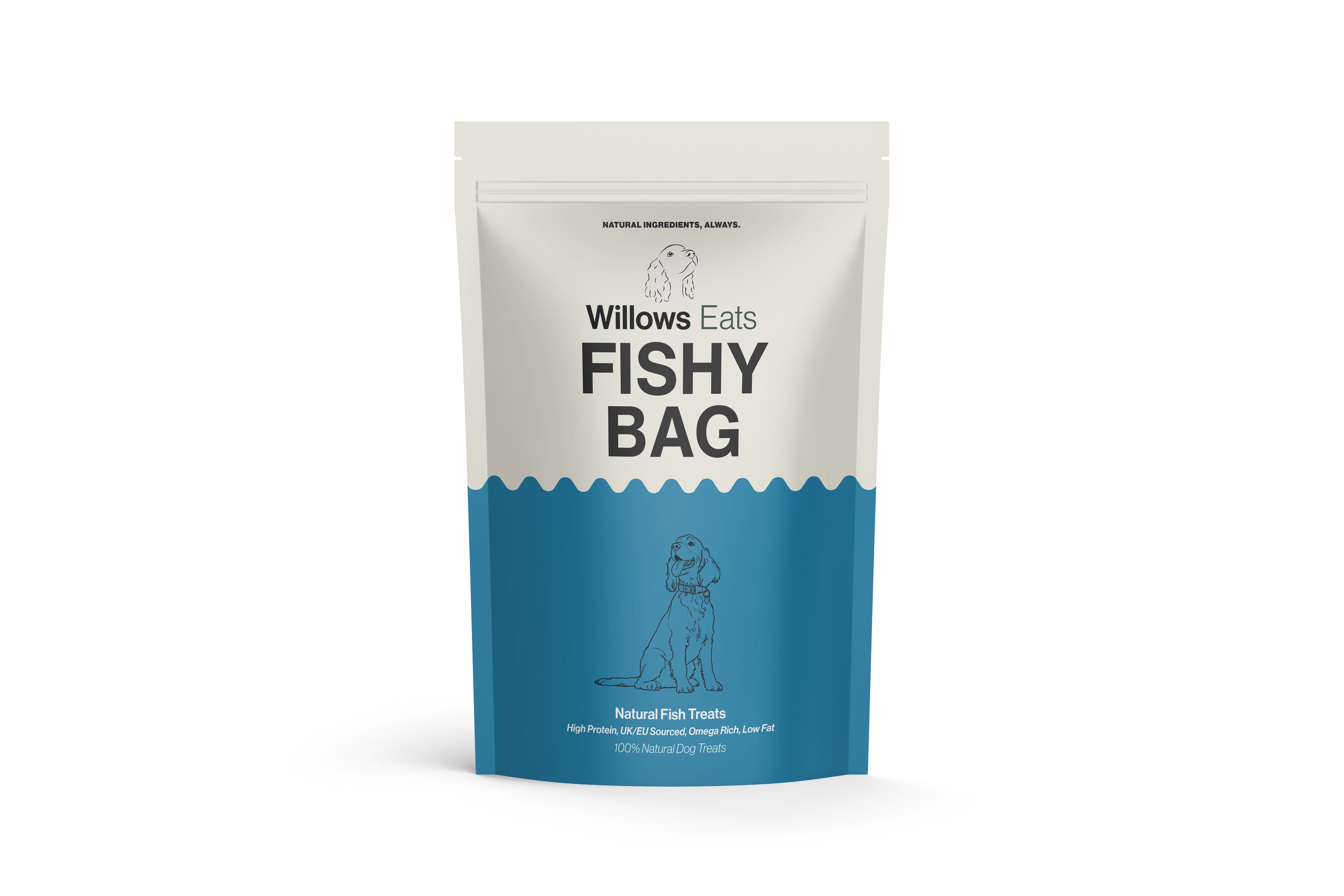 Fishy Bag